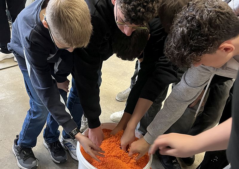 IMG 2914 Granulat orange